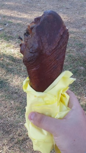 TURKEY LEG!