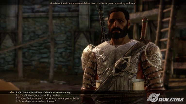 Dragon Age Character