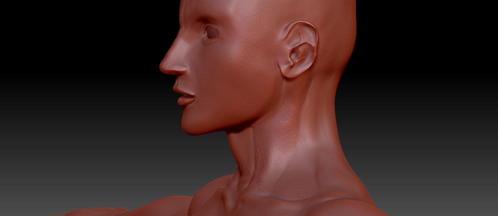 Zbrush tool used for 3D modeling